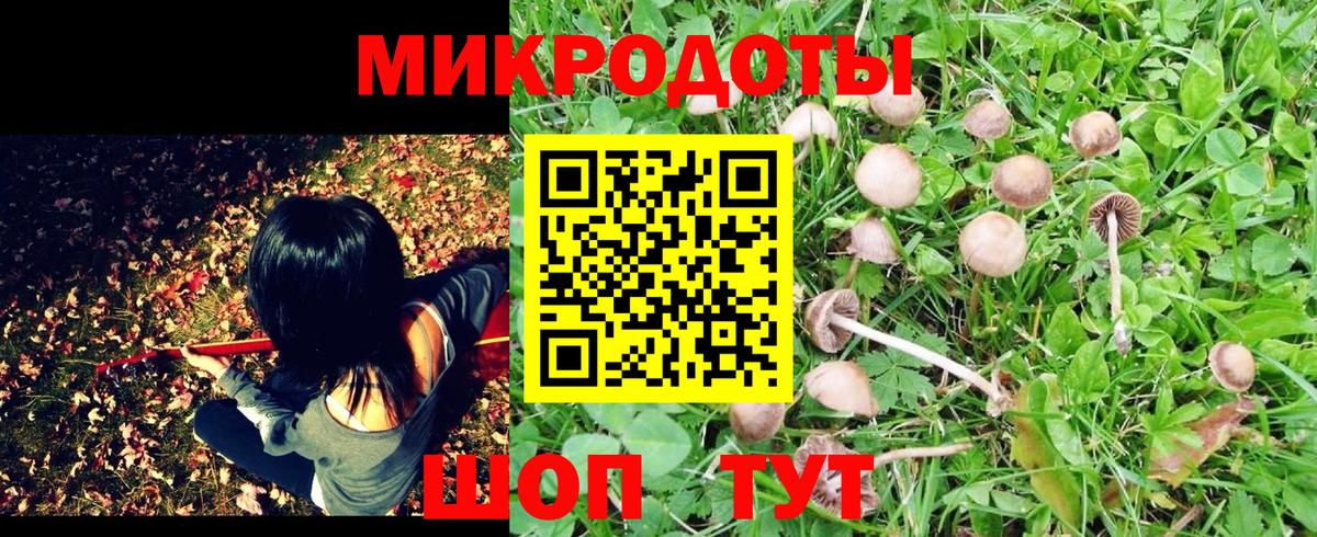 Хасавюрт  Псилоцибиновые грибы Cubensis  Вход с VPN 